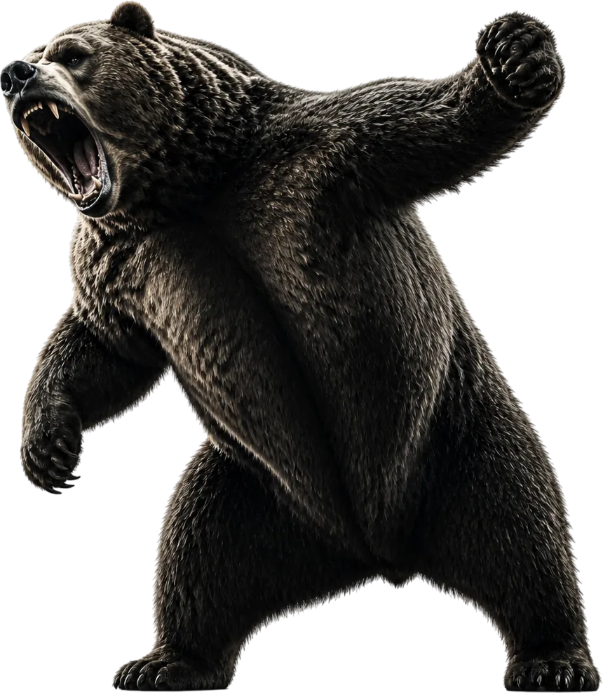Bear