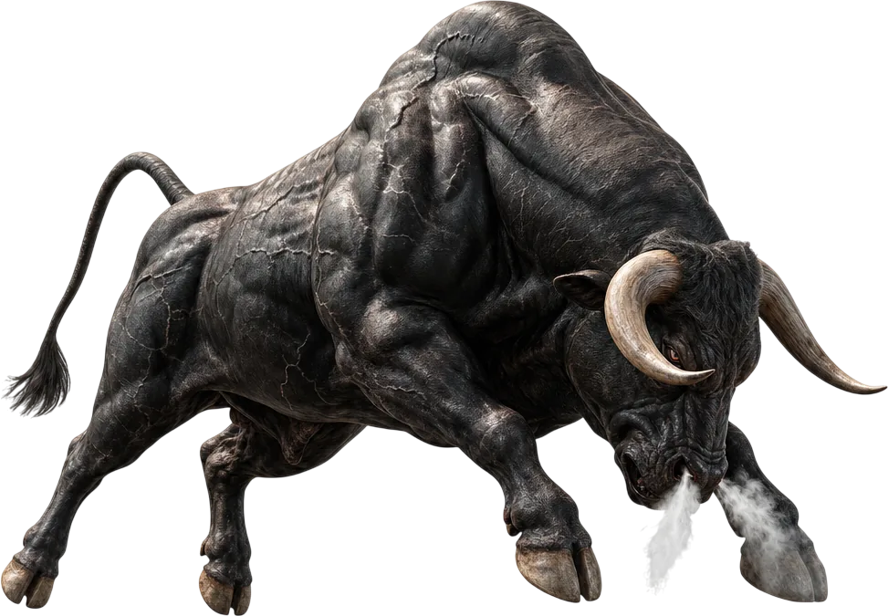 Bull